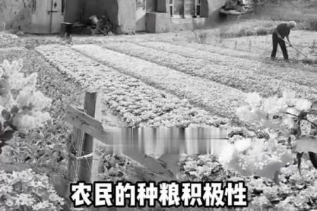 分田到户是哪一年开始的 分田到户是哪一年开始的,最早在哪个省
