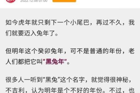 黑兔年好还是不好