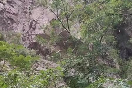 河南辉县近百只山羊接连跳崖坠亡(河南山羊养殖基地的地址)