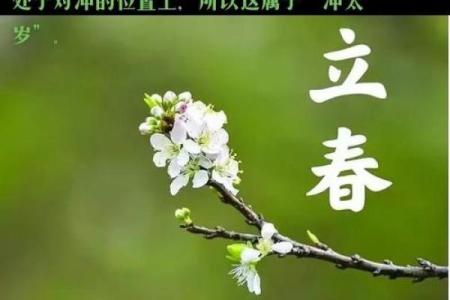 2024年躲春的注意事项