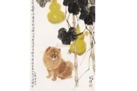 安身之狗是什么意思(安身之狗是什么意思啊)