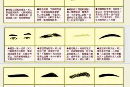面相学眉毛说法 面相里眉毛代表什么意思