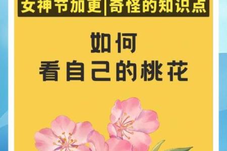 怎么测桃花运(怎么测试自己的桃花运在什么时候)