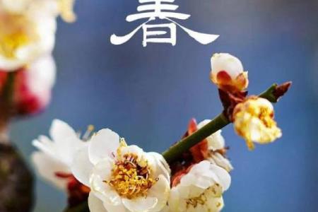 2020年2月4日立春准确时辰查询，当天几点交春？