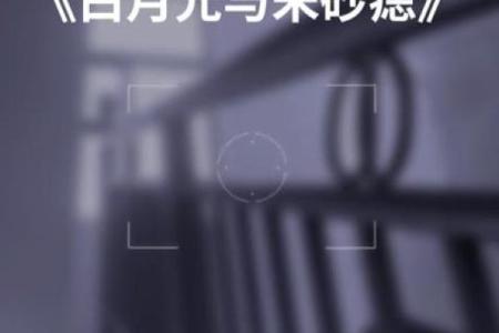白月光意难平朱砂痣区别 白月光与朱砂痣,不过都是意难平罢了”什么意思