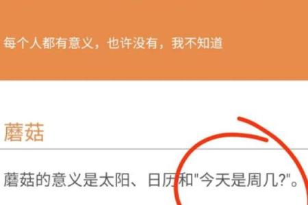 你的意义是什么链接(你的意义是什么)
