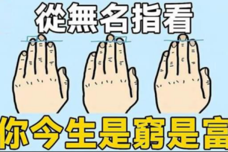 无名指比食指长的人代表什么 无名指比食指长是极少数人吗