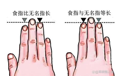 两只手无名指比食指长代表什么 两个手的无名指是斗