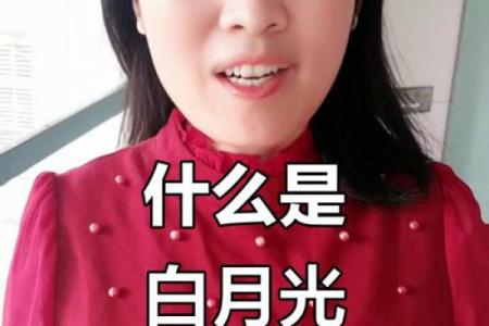 你有白月光我有朱砂痣 你有你的白月光