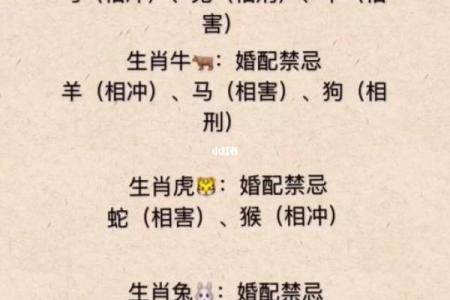 烘云托月打一动物