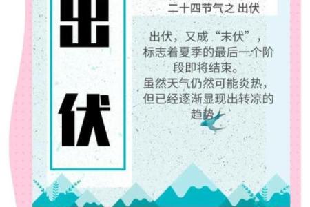 2021年哪天入伏哪天出伏