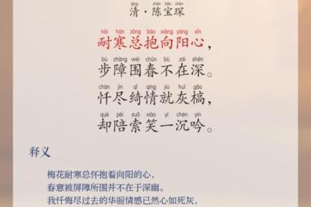 一庭花影三更月