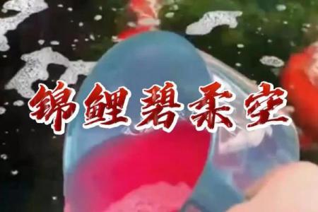 锦鲤双杀是什么意思 双锦鲤有什么寓意