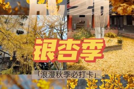 几月是 几月是秋天