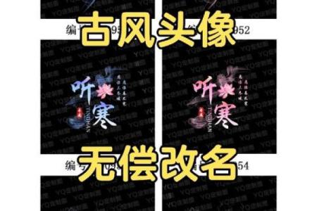 炫舞名字情侣(炫舞名字情侣三个字古风)