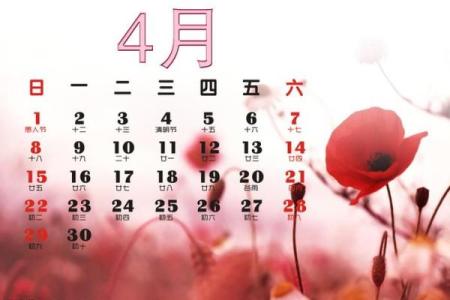 2012年年历(2012年年历表图片)