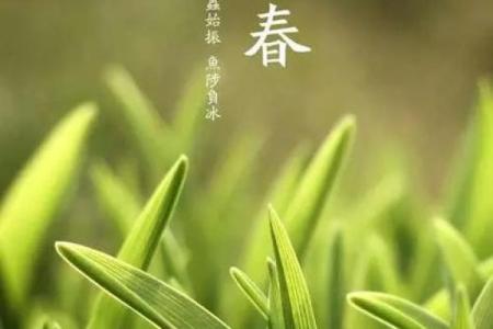 今年2月4号立春的准确时辰和交节时刻查询