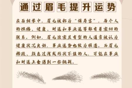 眉毛长有什么说法 眉毛长是什么面相