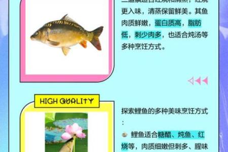 鲤鱼和锦鲤的区别 鲤鱼与锦鲤的区别