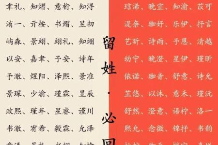 取名字大全2016最新版(取名字大全2022)