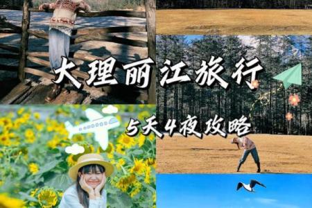 大理街是哪几天 大理街子天是那几天