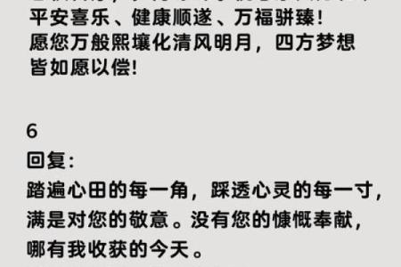 新年致辞2024金句