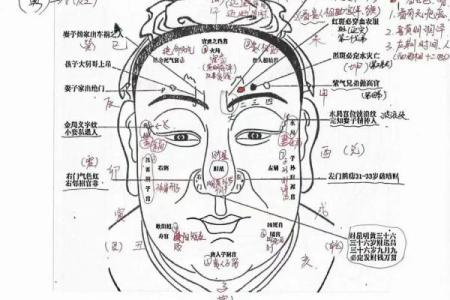 女子断眉有什么说法 女人断眉怎么补救