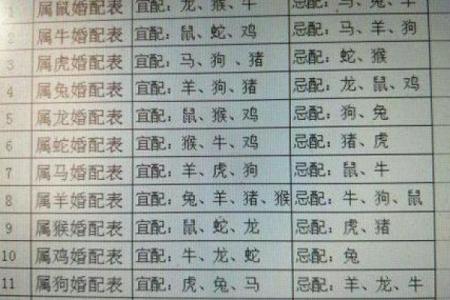 79年和哪年相合 79年和哪年相合最好