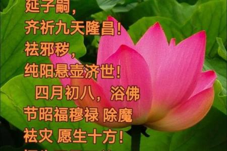 四月初八浴佛节的由来和庆祝方式，民间有哪些讲究？