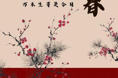 今年立春是几月几日2022(今年立春是几月几日2026年)
