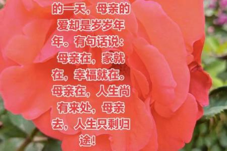 2014年母亲节是几月几号星期几，想安排家庭聚餐庆祝活动
