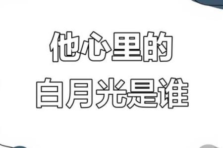 烂掉的白月光终成朱砂痣 烂掉的白月光终成朱砂痣txt