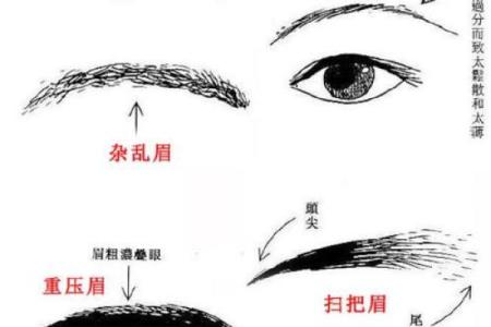 眉毛连一起有什么说法吗 眉毛连一起的人什么性格