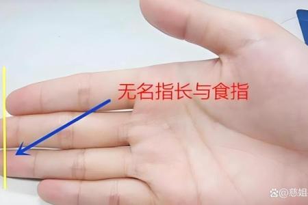 无名指比食指长的人有多少 无名指比食指长的好吗