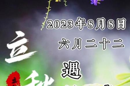 2023年8月8号几点几分立秋(2023年8月3日怎么了)