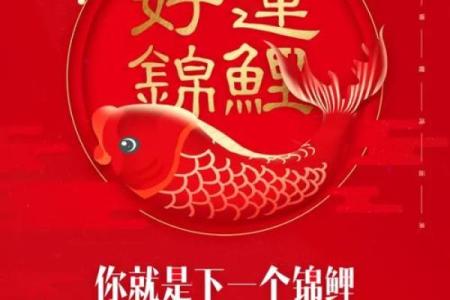 锦鲤意思解释 女人微信状态求锦鲤暗语是什么