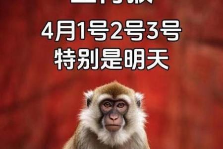 几月出生的猴是大老板 出生在几月的猴最好