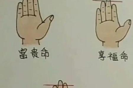 多数人无名指长还是食指长 大多数人无名指比食指长