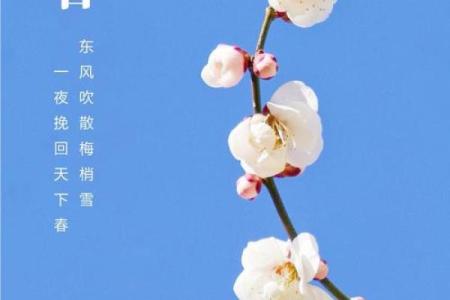 今日立春几点几分几秒