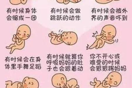 多少个月 多少个月有胎动