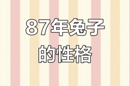 87年兔几月出生最好 87年兔几月出生最好命运