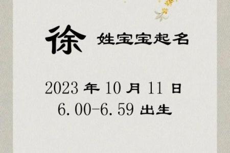 徐姓女孩起名(徐姓女孩起名两个字的)