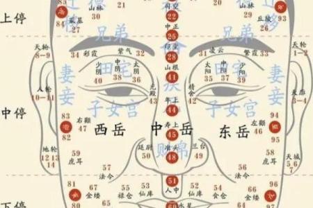 眉断了面相学意味着什么 眉毛断了的面相