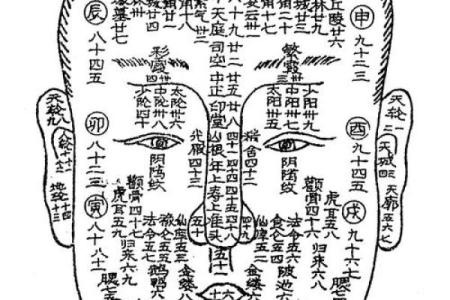 在线测面相拍福气,面相测试自拍自拍手相测试