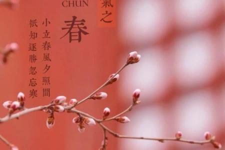 今日立春时间是几点2023年(今日立春时间是几点2023年农历)