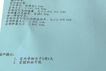 7月怀孕明年几月出生 七月怀孕明年几月出生