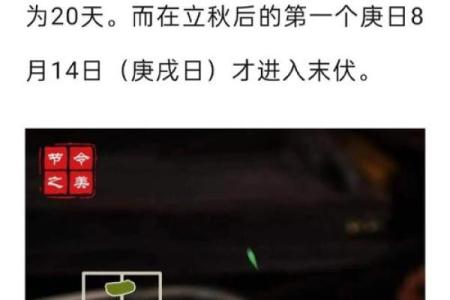数伏从什么时候开始2021年(数伏什么时间开始)
