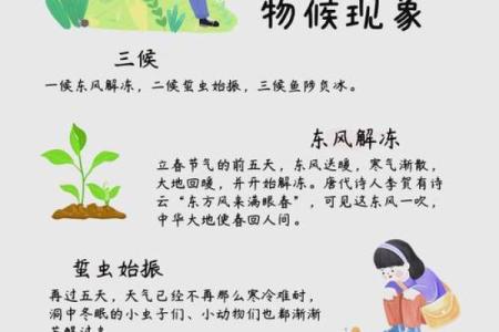 立春禁忌需要注意什么 立春哪些禁忌
