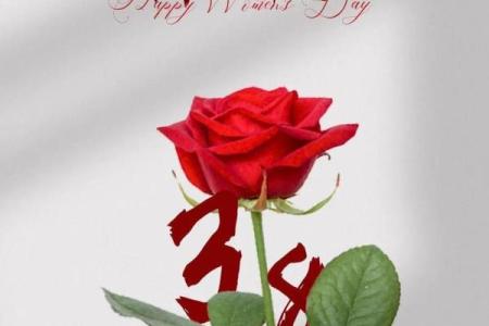 女神节是3月7还是8号