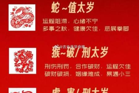 06年本命年是哪一年 06年出生的人是什么命